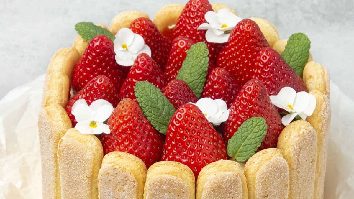 Charlotte Cake. 