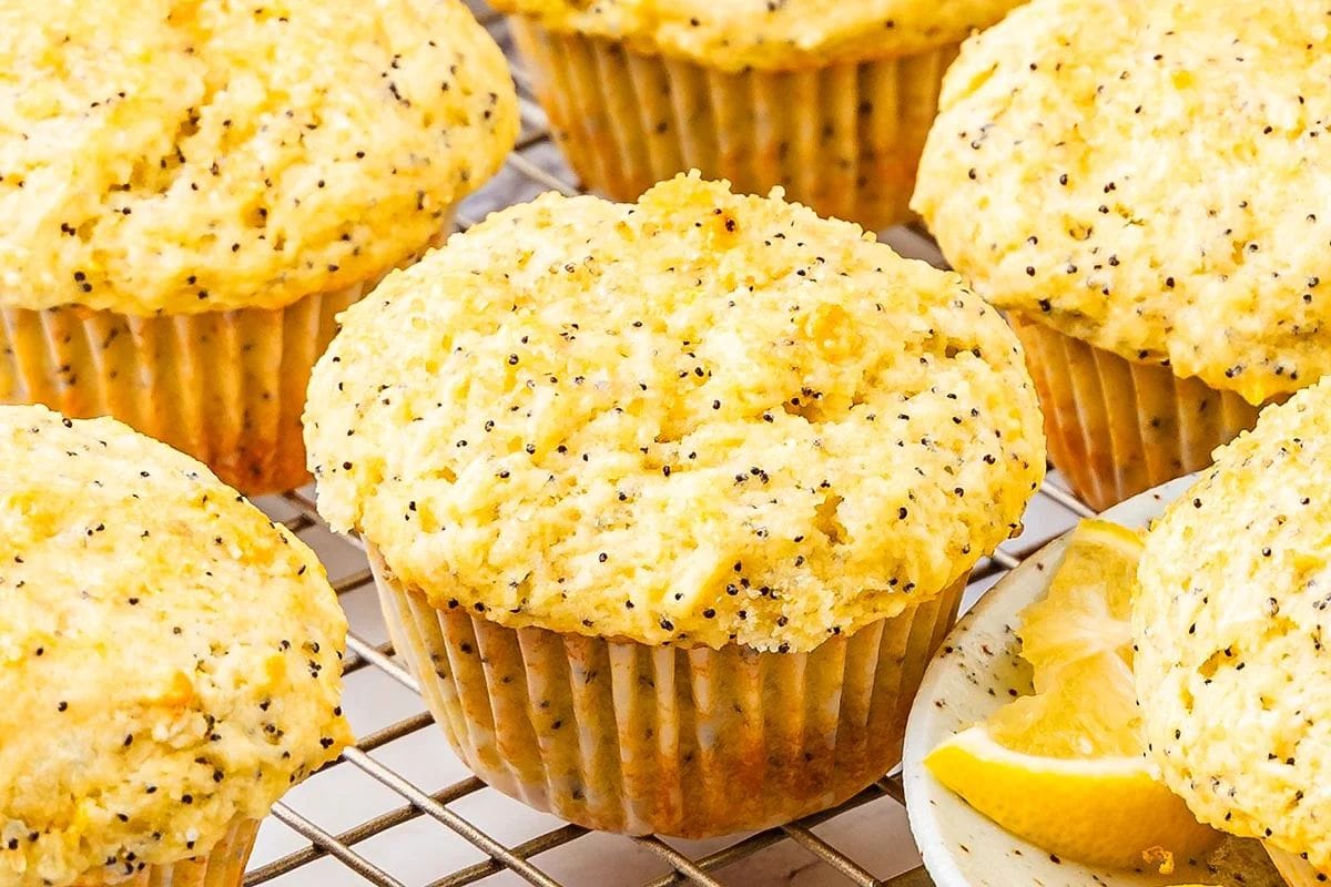 A lemon poppy seed muffin on a plate with lemon slices, with a bowl of poppy seeds in front of it, and a cooling rack with more muffins behind it.